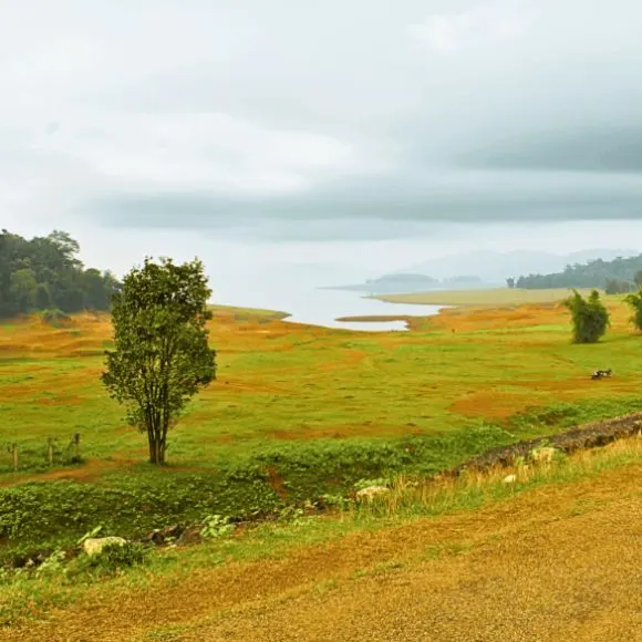 dandeli back water near [dandeli jungle inn]