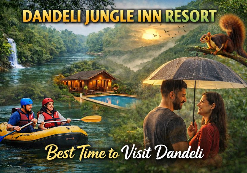 blogs in dandeli jungle inn