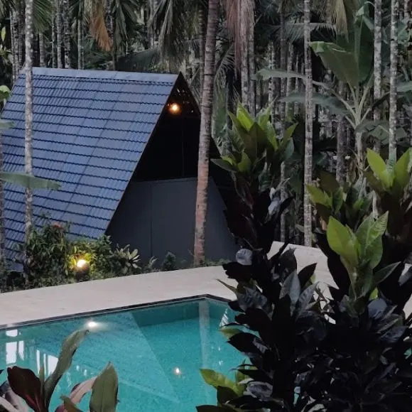 black panther spotted in dandeli [dandeli jungle inn]