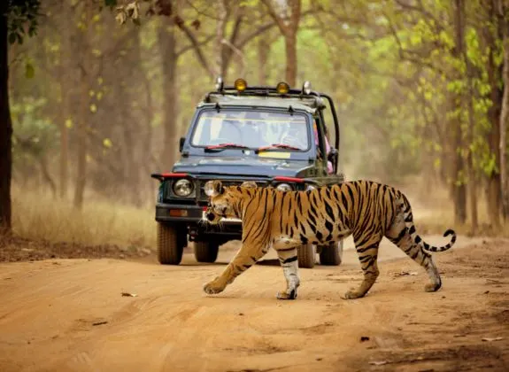 Top Tourist Places to Visit in Dandeli [dandeli jungle inn]