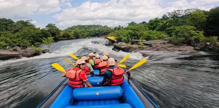 top resorts in dandeli [dandeli jungle inn]