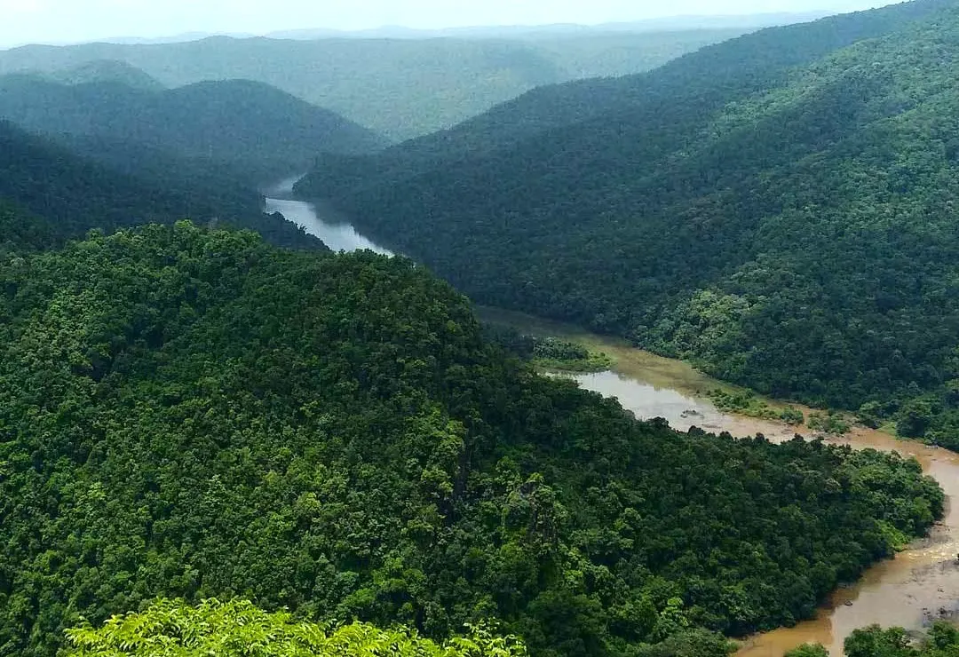 dandeli